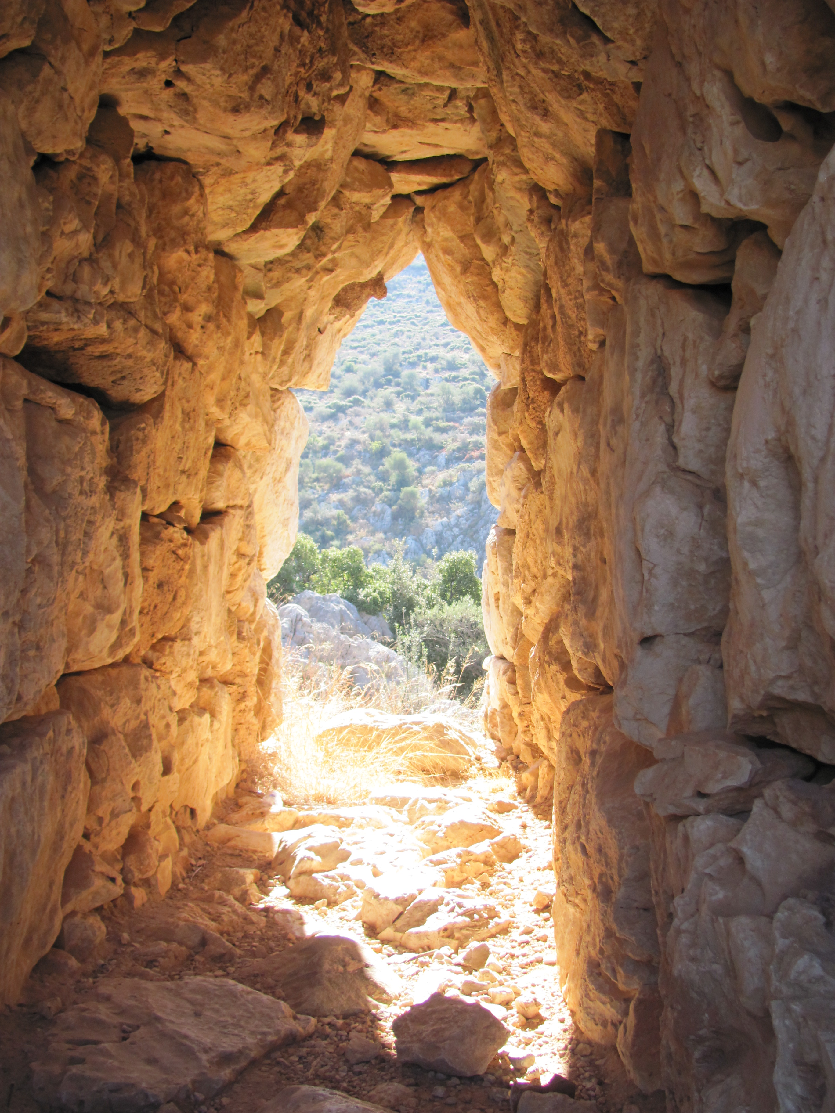 Mycenes - le tragique